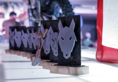 Red Bull Romaniacs 2012 trophies