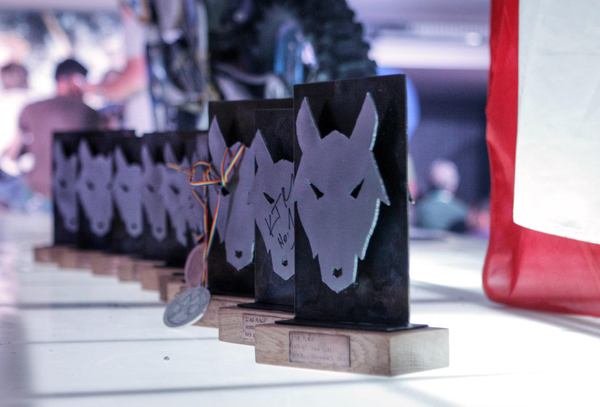 Red Bull Romaniacs 2012 trophies